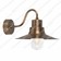 Sheldon 1 Light Wall Lantern - Aged Brass