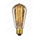 Light Bulbs 60W E27 Edison Light Bulb