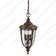 English Bridle 3 Light Medium Chain Lantern - British Bronze