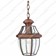 Newbury 1 Light Medium Chain Lantern - Aged Copper